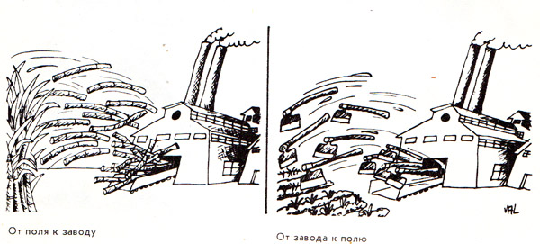 Val Umberto (Valdes) - cartoonia.gallery